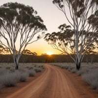 Whispering Gums